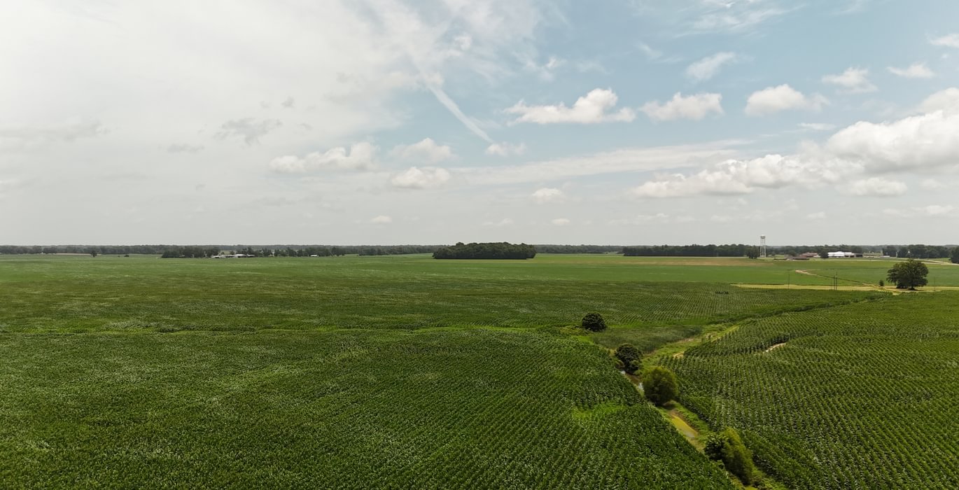 854 DJI 20250618131905 0102 D