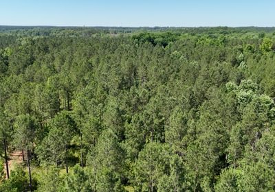 854 Horton Tract Photo 4