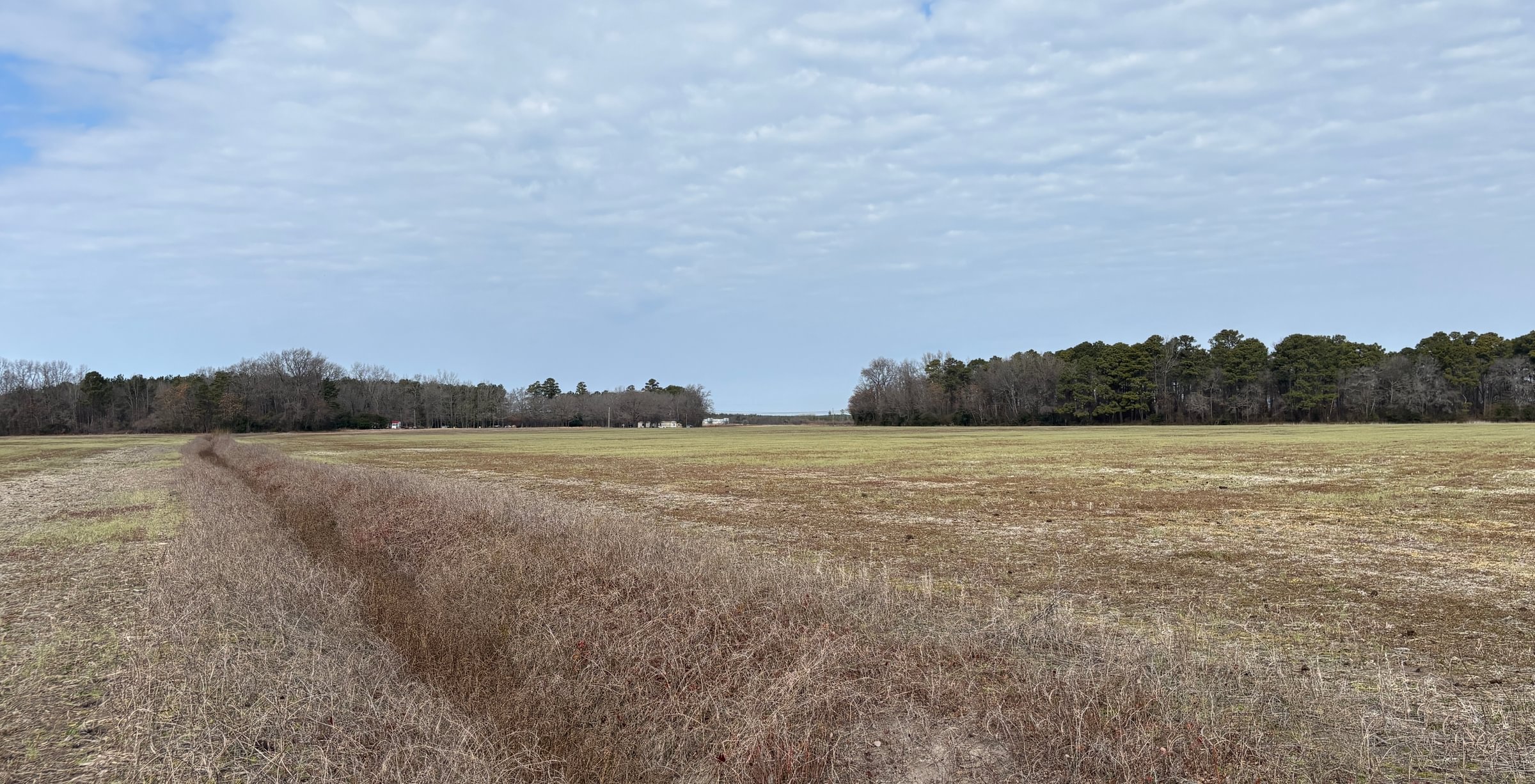 854 IMG 6140
