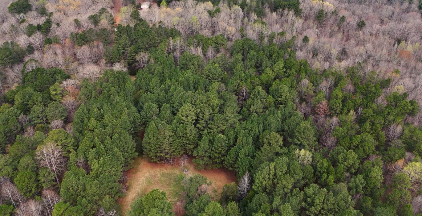 855 AFM West Fork 85 Photo 32