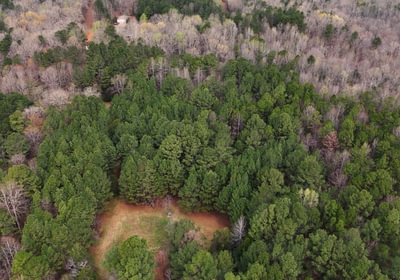 855 AFM West Fork 85 Photo 32