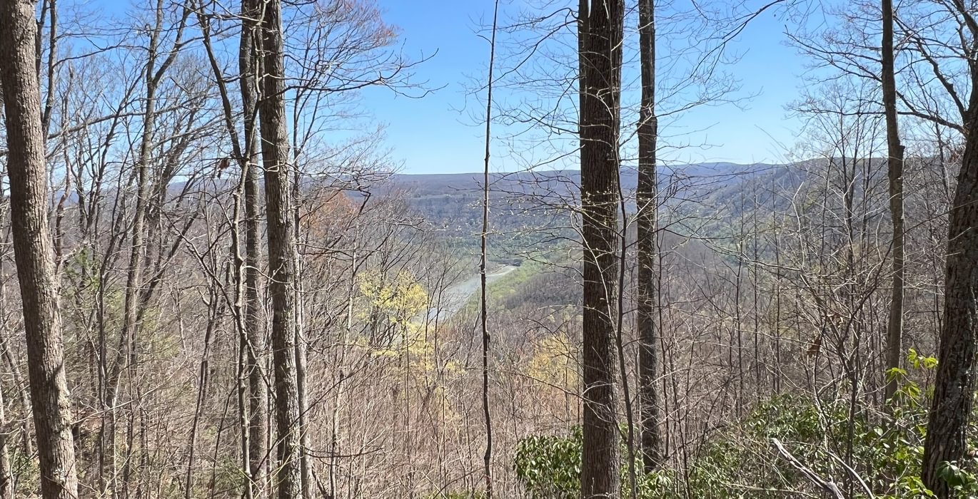 855 New River View 4