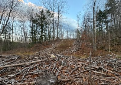 855 woodyard and road up the hill