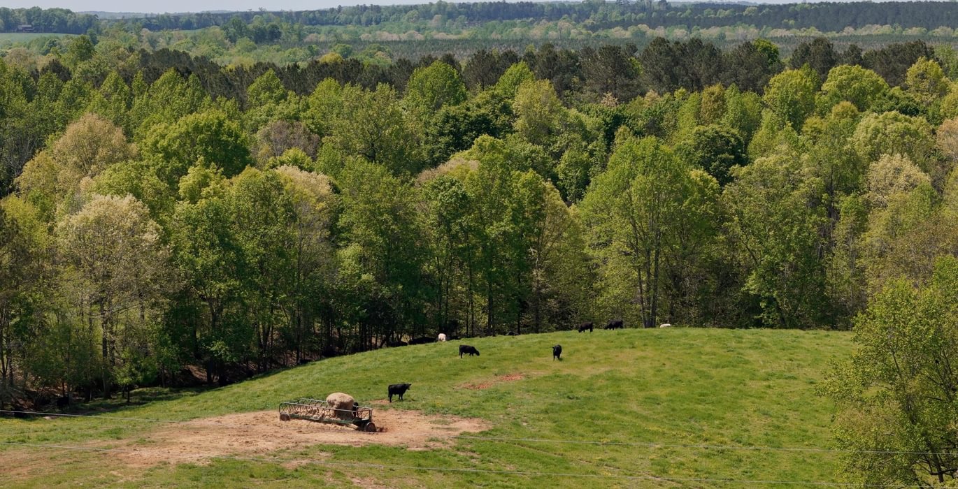856 AFM Blue Q Ranch Photo 20