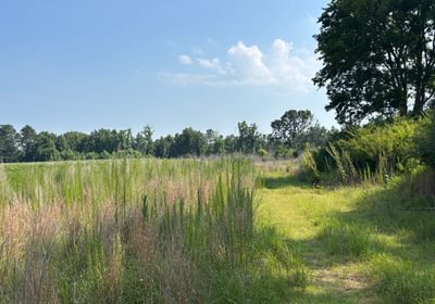 856 IMG 5140