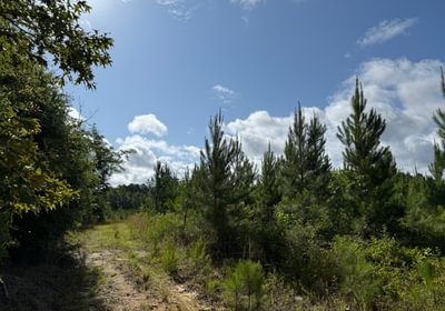 857 IMG 0242