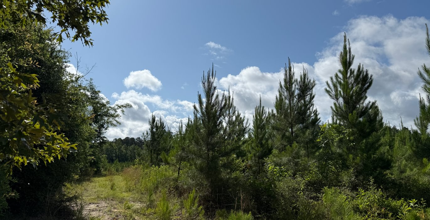 857 IMG 0242