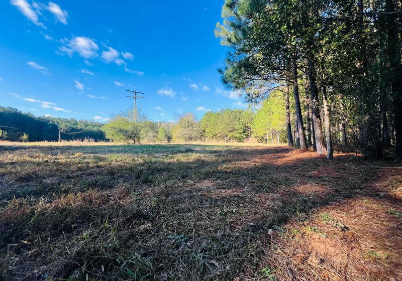 Photo 23 of Paradise Farms, 46.84 acres, Henry County, Georgia
