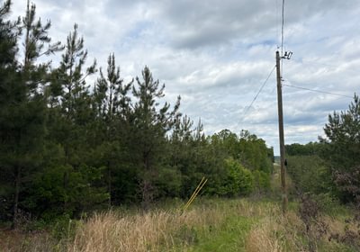 85 IMG 1380