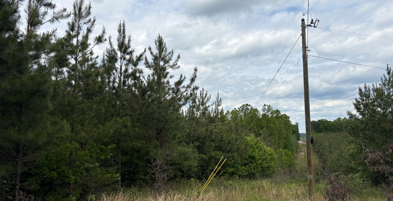 85 IMG 1380