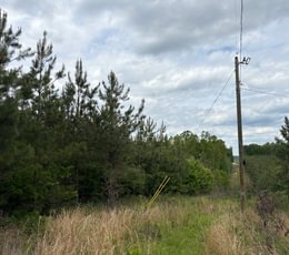 85 IMG 1380