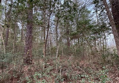 85 IMG 6438