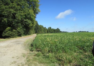 861 IMG 1192