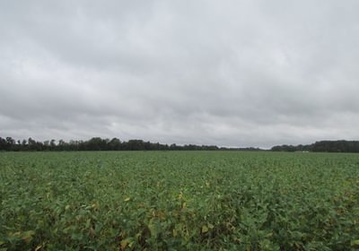 862 53 IMG 1180