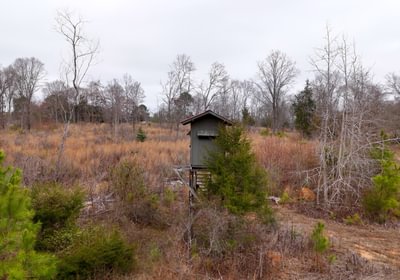 862 AFM Hightower Road 23