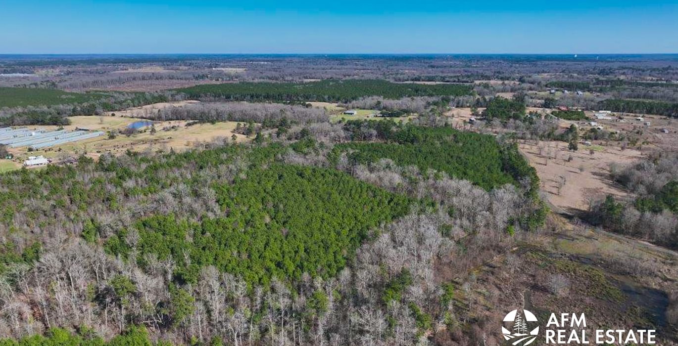 862 DJI 20250201142642 0009 V