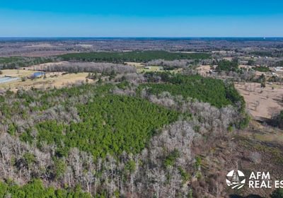 862 DJI 20250201142642 0009 V