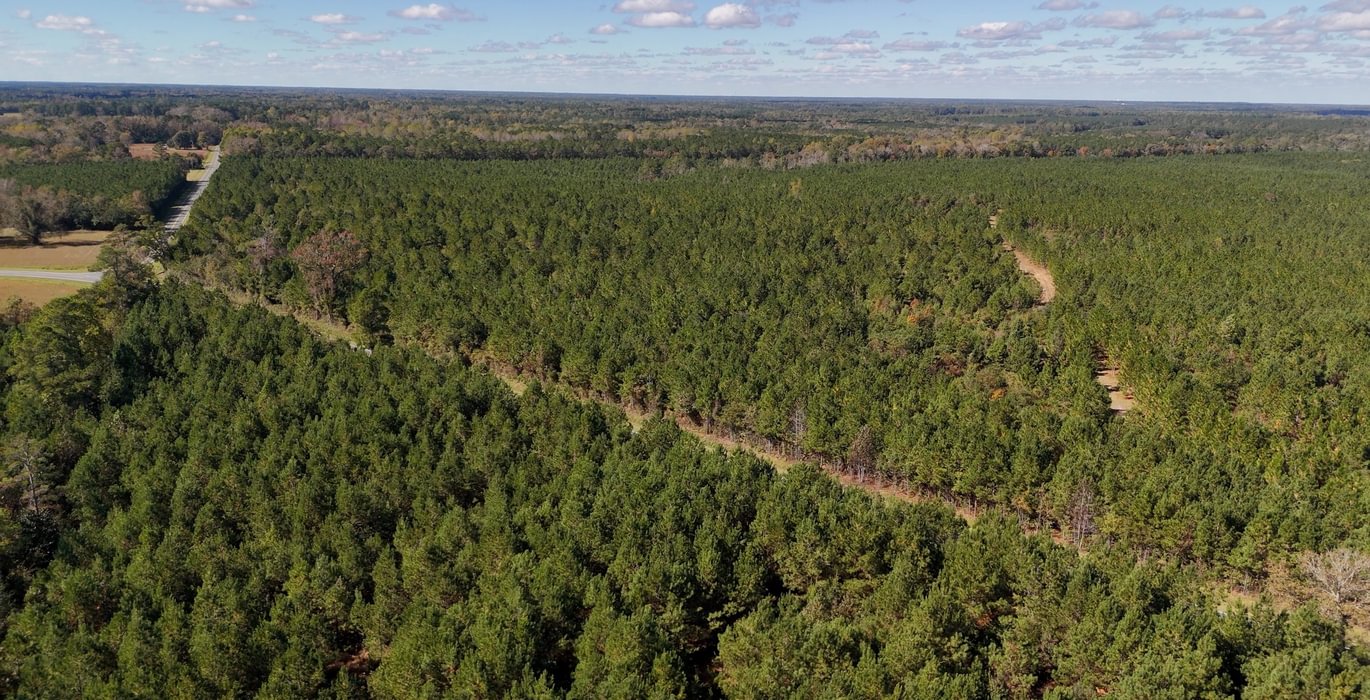 863 AFM Bladen 339 Photo 4