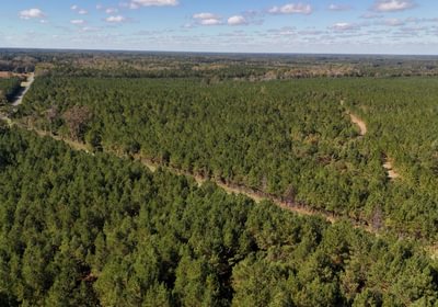 863 AFM Bladen 339 Photo 4