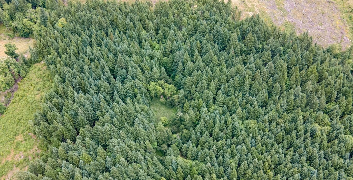 863 DJI 0635 HDR25