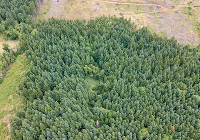 863 DJI 0635 HDR25