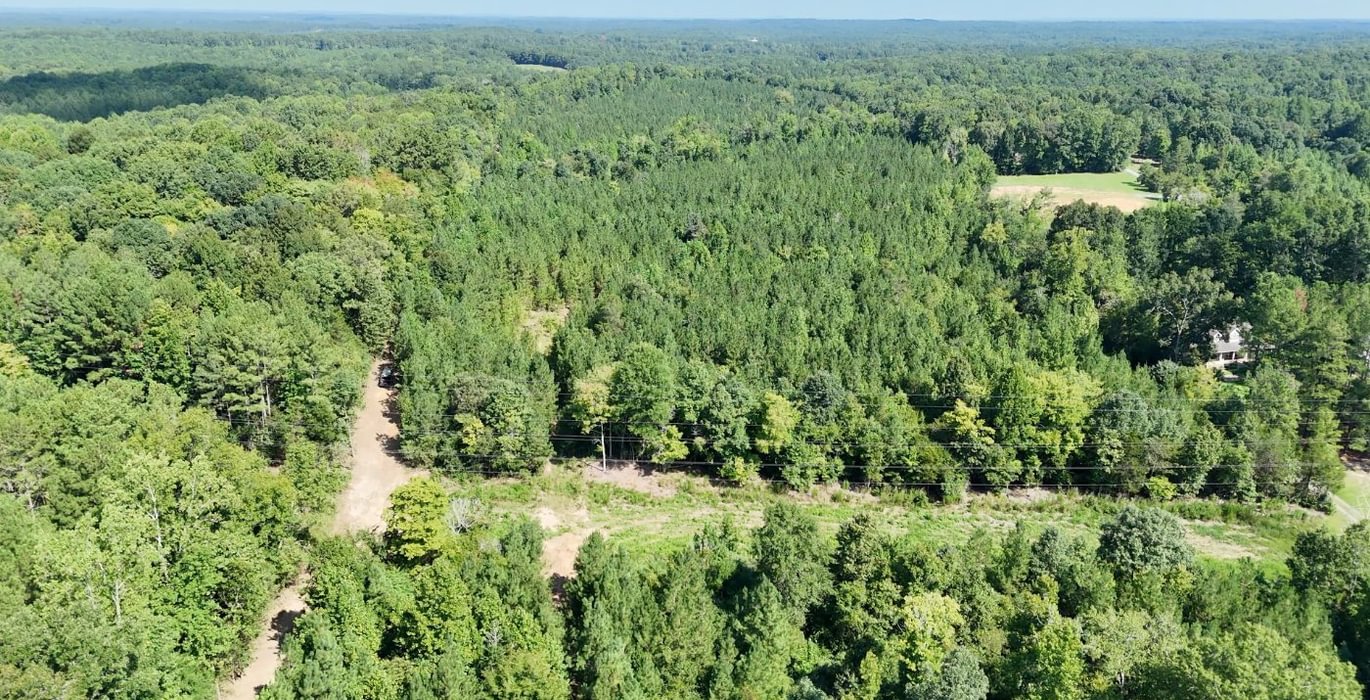 863 Simlin Creek Photo 3