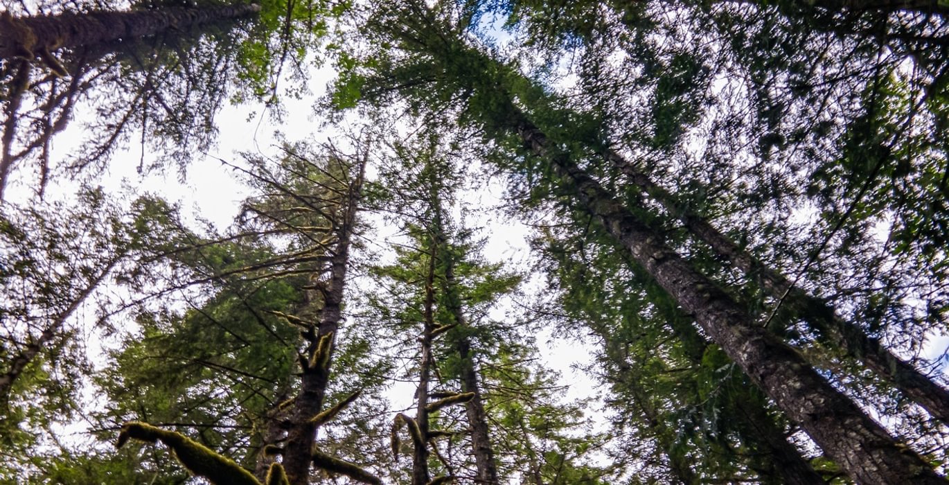 864 DJI 0734 HDR25