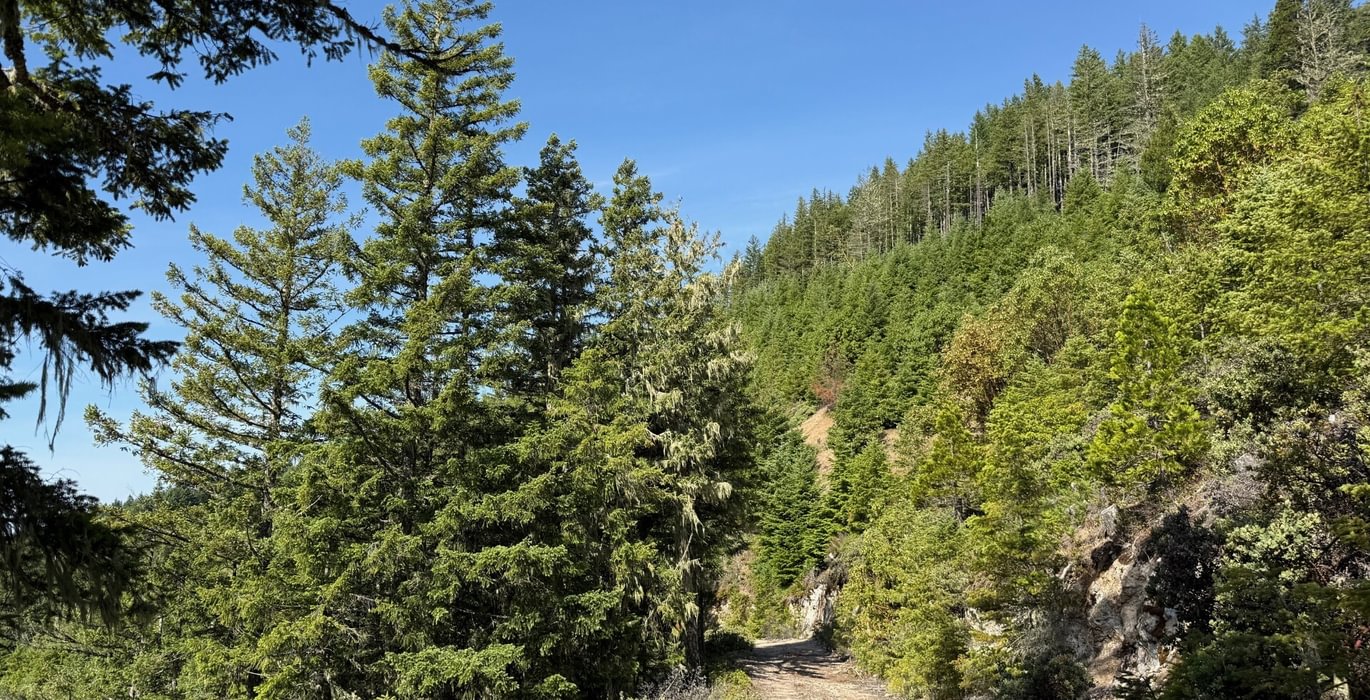 865 Hobart Butte 12
