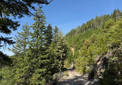865 Hobart Butte 12