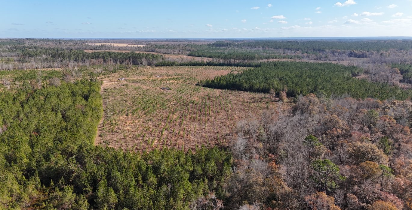 865 dji fly 20241216 134056 0048 1734391517055 photo