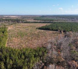 865 dji fly 20241216 134056 0048 1734391517055 photo