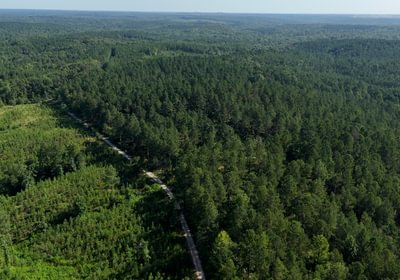 867 Enoree Creek Photo 9