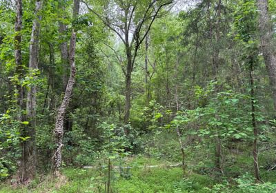 867 IMG 1431