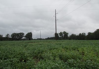 870 53 IMG 1170