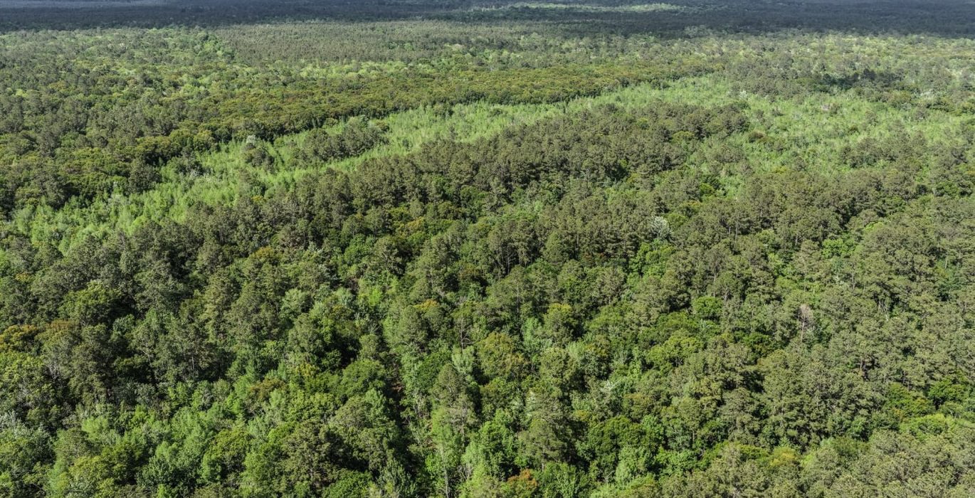 870 DJI 20260415160321 0158 D