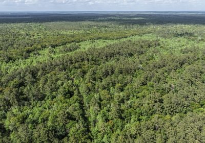 870 DJI 20260415160321 0158 D