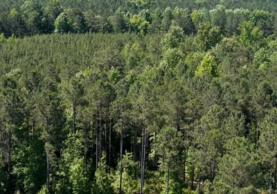 871 Horton Tract Photo 11