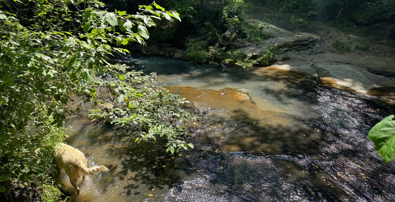 871 IMG 7587