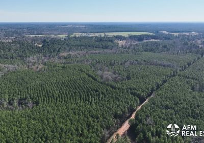 872 DJI 20250131145350 0022 V