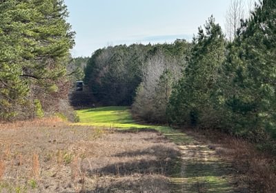 873 IMG 2739