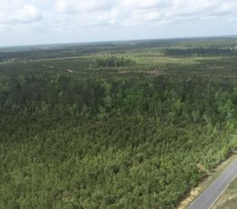 874 DJI 0026
