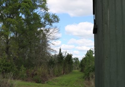 874 IMG 3645