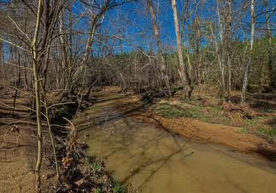 875 AFM Island Creek Farms 17