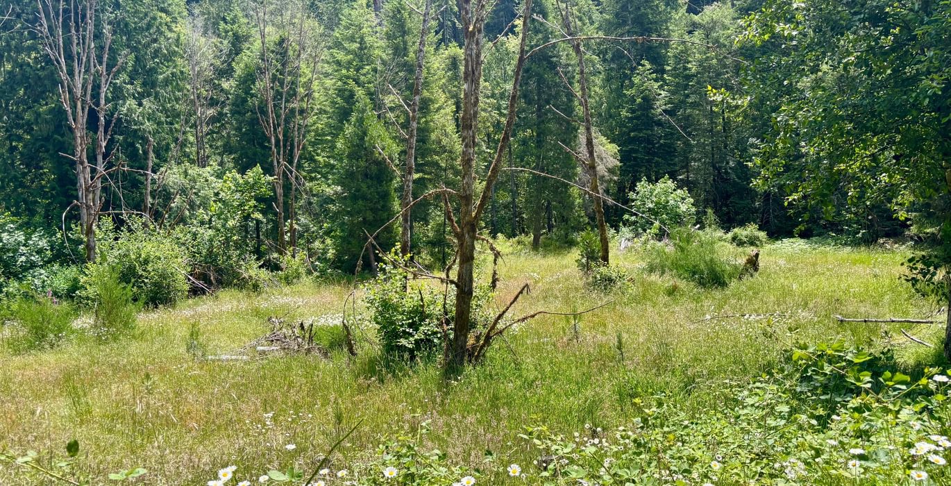 876 IMG 3548 Copy