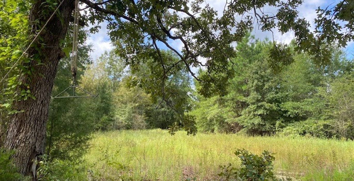 876 gum springs 7