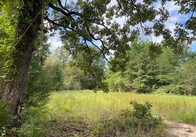 876 gum springs 7