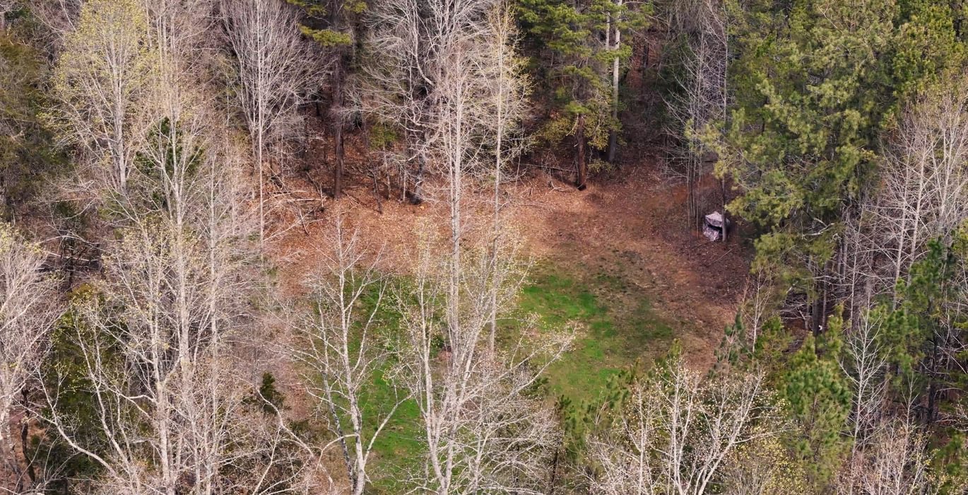 877 AFM West Fork 85 Photo 23