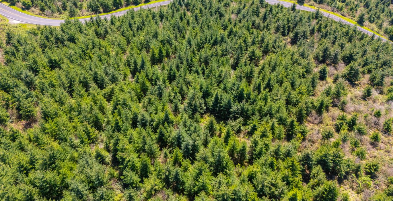 877 overhead 1