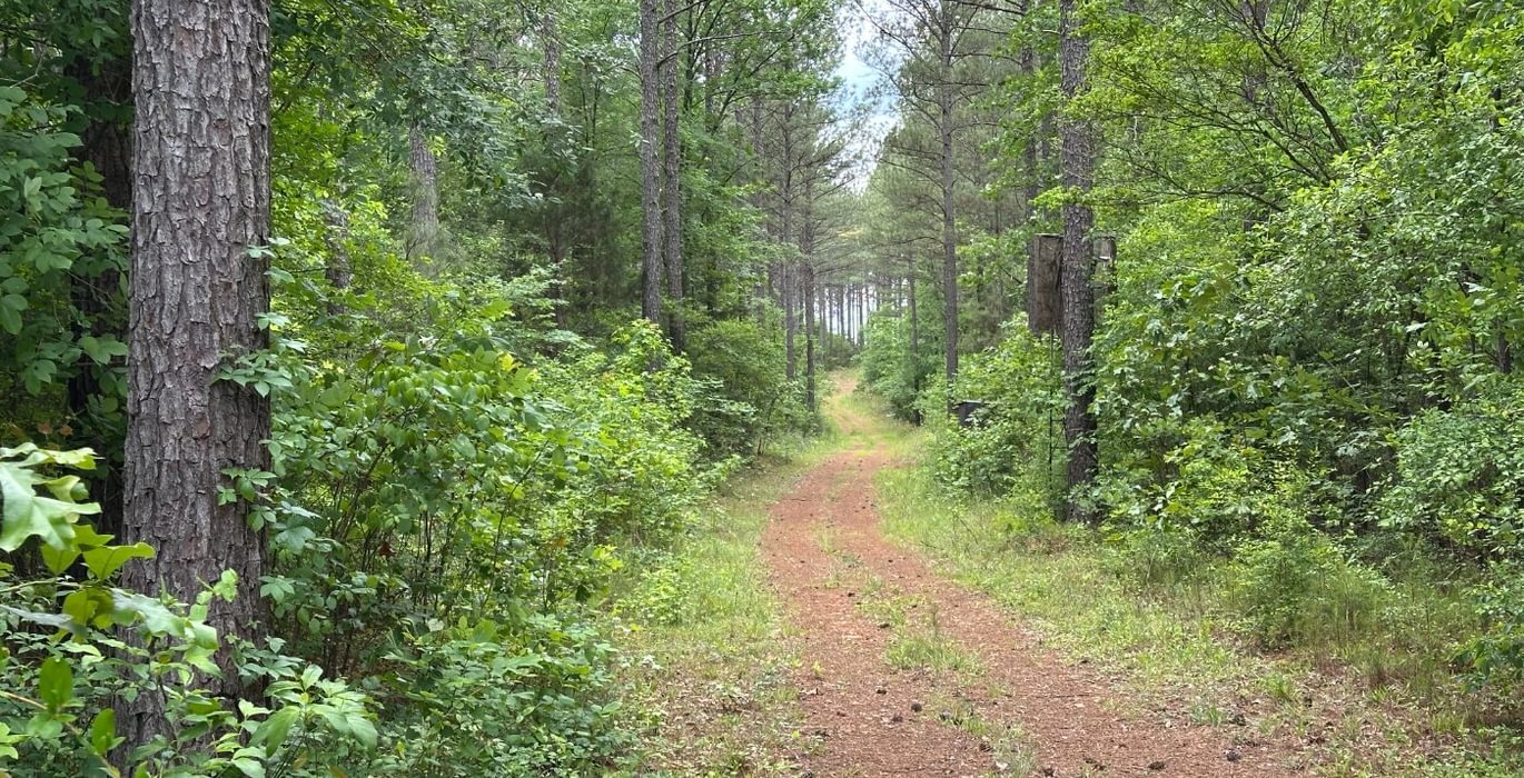 881 IMG 0712