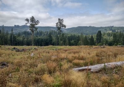 881 IMG 20250804 104937922 HDR